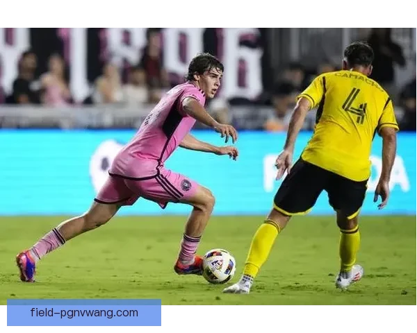 美洲杯：巴西夺冠，阿根廷遗憾，委内瑞拉黑马表现亮眼