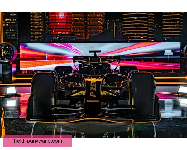 F1速度与技巧：挑战极限的训练秘籍