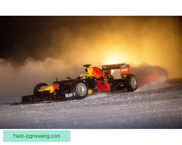 F1世界纪录：速度与激情的极限挑战