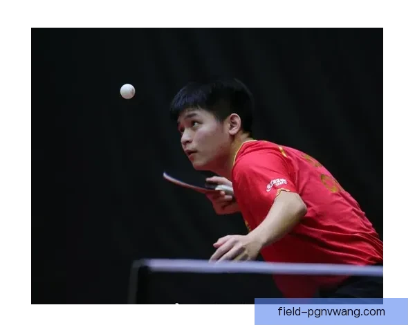 乒乓球教学视频：挥拍技巧与战术策略详解