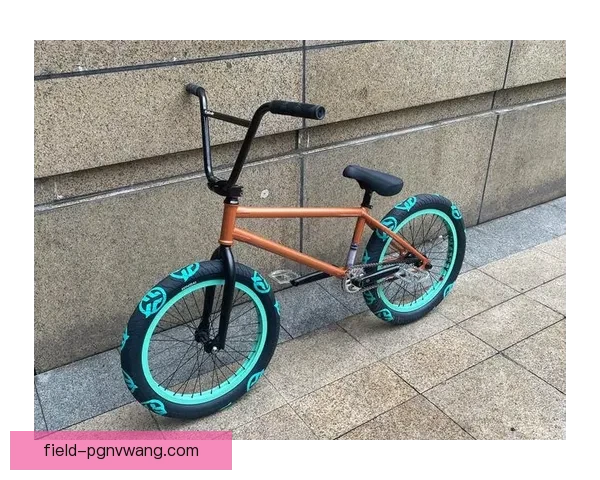 BMX排名大揭秘：速度与激情的背后