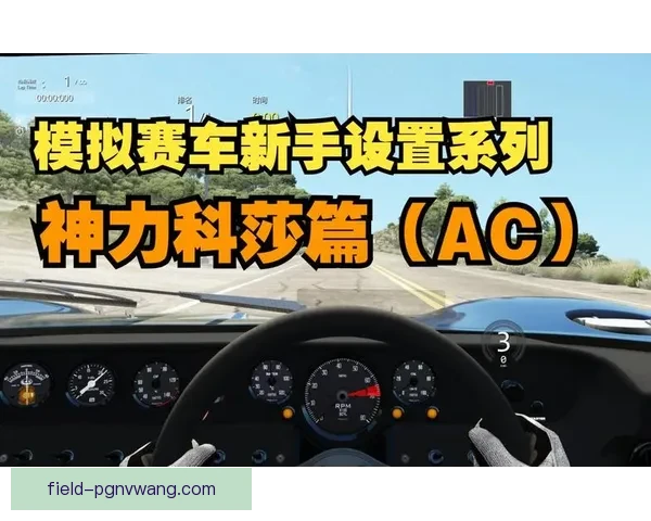 全面学习赛车驾驶技术的入门指南