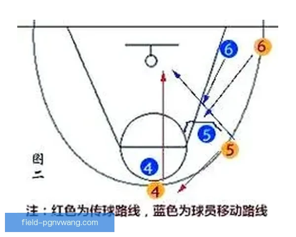 全面解析篮球训练技巧及策略