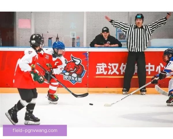 冰球大奖赛：燃情对抗，激发激情