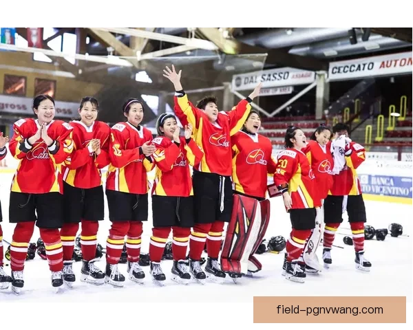 冰球世界排名大揭秘：挑战巅峰的强队之路