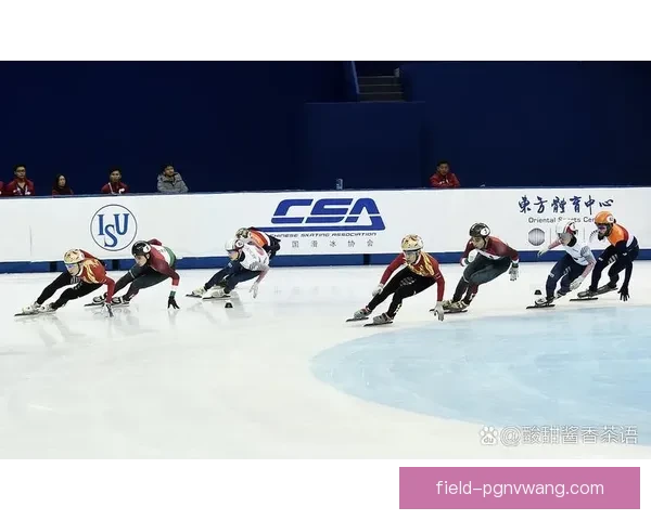 冰球高超技艺：冰上华丽舞动