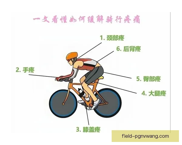 学习骑行技巧，轻松掌握自行车操控要诀