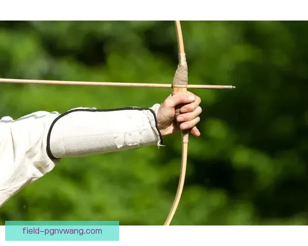 射箭比赛中的箭术精湛与心态调控：顶尖射手的秘诀