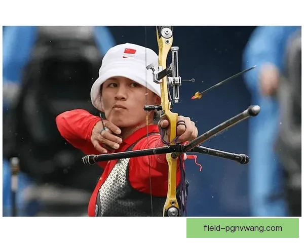 射箭高手对决：弓箭精英挑战赛