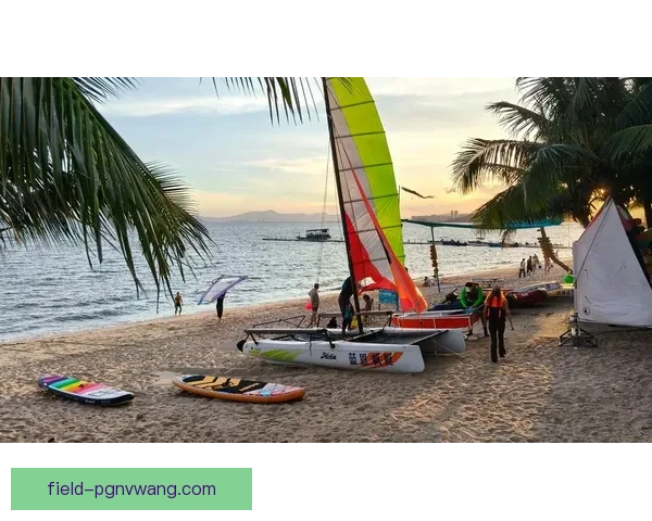 帆船盘口分析：驾驭风浪，洞悉市场，智慧之航展翅翱翔