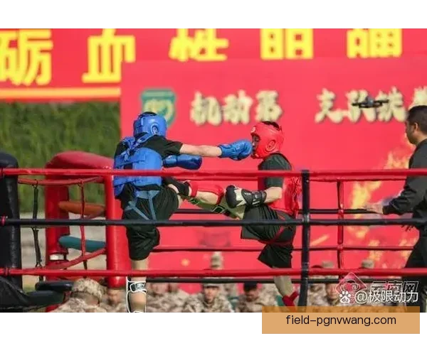 摔跤直播：搏击热血，无惧挑战