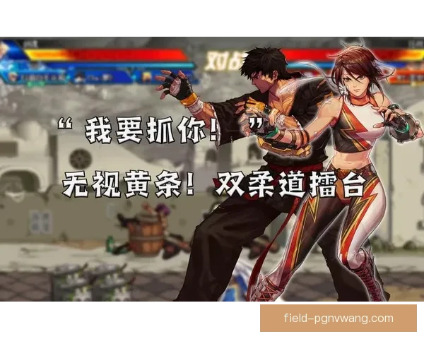 擂台对决：柔道巅峰之战