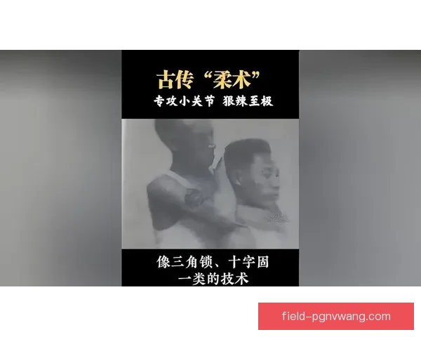 柔道精粹：探究古武术与现代格斗的碰撞