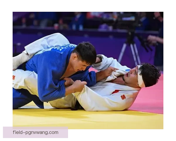 柔道比赛规则与技术解析及应用指南