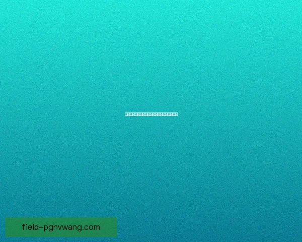 橄榄球世界纪录：壮举与突破，诠释勇气与决心