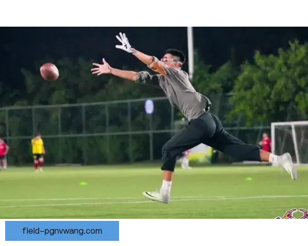 橄榄球投注技巧大揭秘，助您在比赛中获得更多胜利！