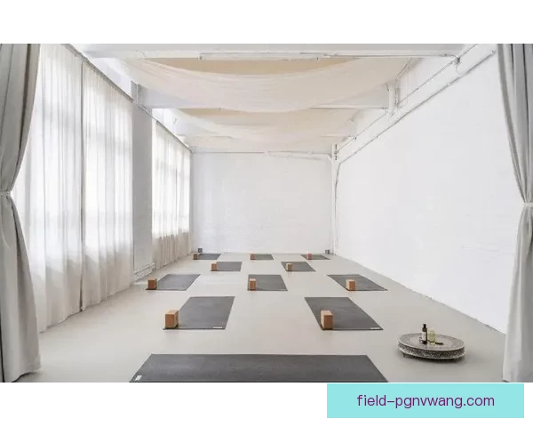 深度探索瑜伽训练：呼吸、冥想与体式的完美融合