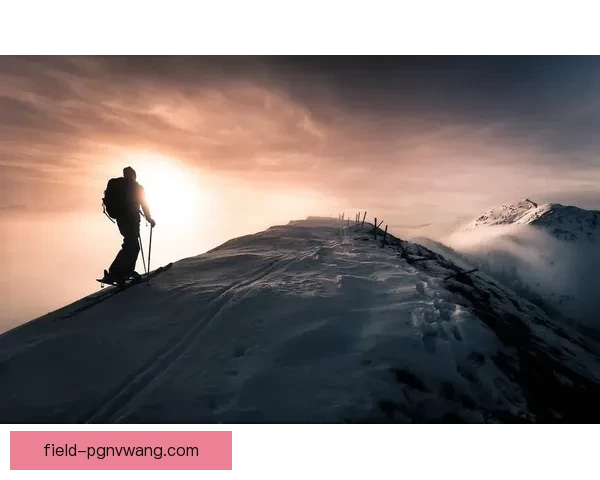 滑雪对战战术解析与技巧分享