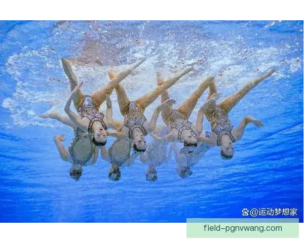 游泳排名大揭秘：谁是水中之王？