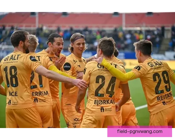 橄榄球盘口分析：胜负盘、让分盘、大小分盘各有何特点？