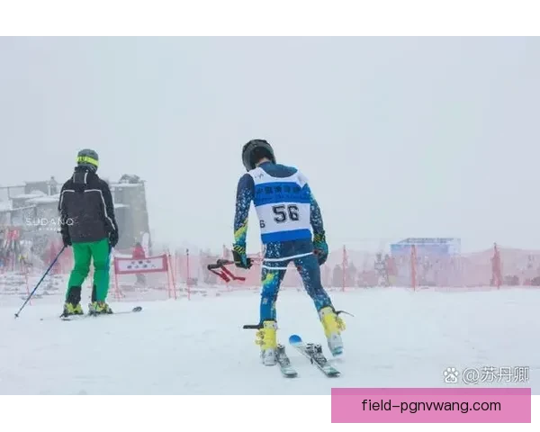 畅游冰雪世界：精彩滑雪赛程全程解析