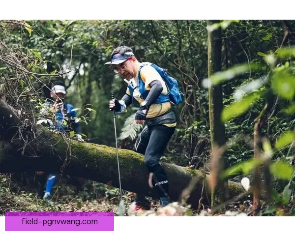 穿越山林，征服险程：挑战极限的越野跑征程