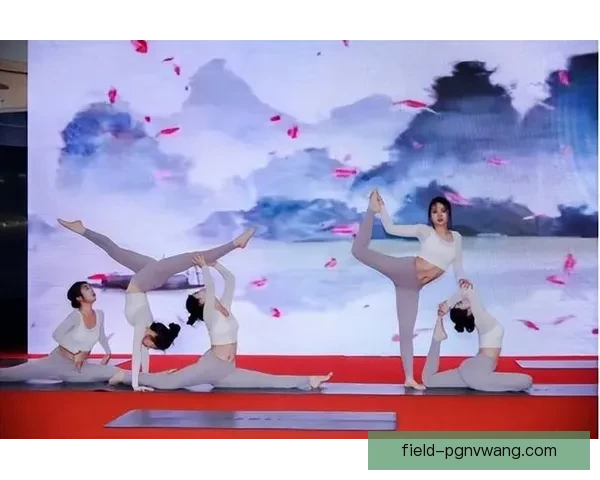 瑜伽赛事精彩回放集锦推荐