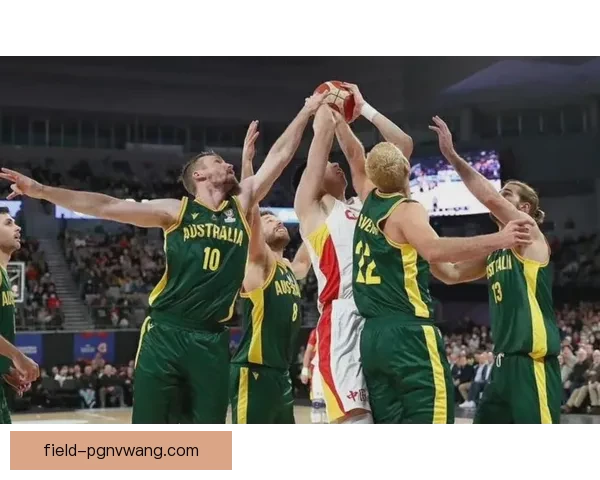 篮球世界排名：全面解析各大赛事实力对比