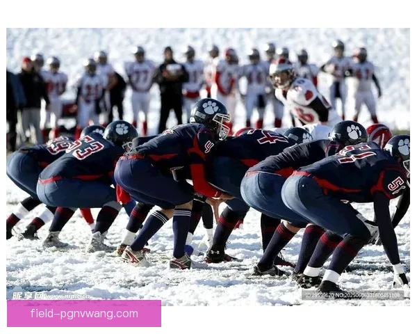 精彩回放:橄榄球赛事全方位解析 精彩回放:橄榄球赛事全方位解析