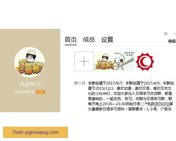 跆拳道入门必备技巧与注意事项