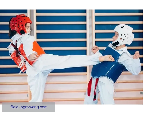 跆拳道联赛：搏击之道，风华绽放