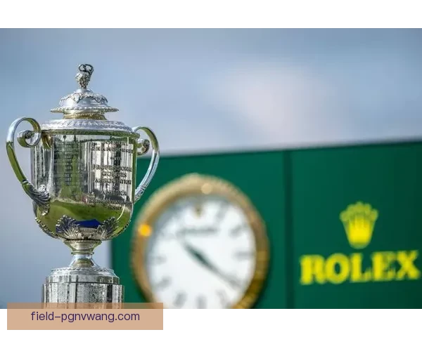 高尔夫大奖赛：挑战精湛球技、争夺荣耀奖杯